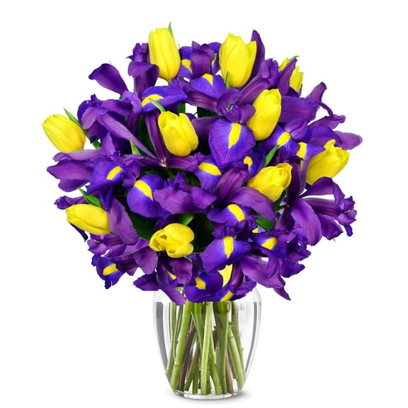 From You Flowers - Sunny Tulip and Iris Bouquet for Birthday, Anniversary, Get Well, Congratulations, Thank You, All Occasions