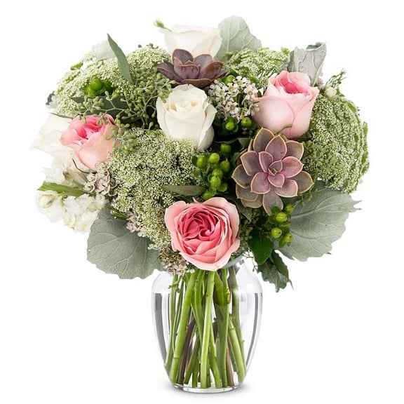From You Flowers - Sweet Succulent Bouquet for Birthday, Anniversary, Get Well, Congratulations, Thank You, All Occasions