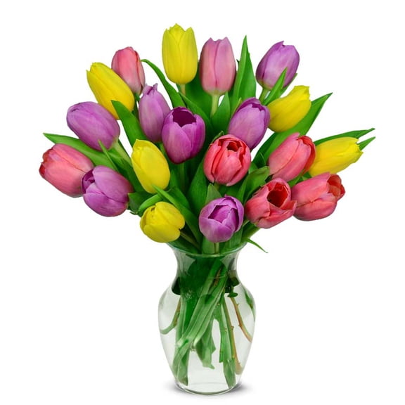 From You Flowers - Sweetheart Tulip Bouquet - 20 Stems for Birthday, Anniversary, Get Well, Congratulations, Thank You, All Occasions
