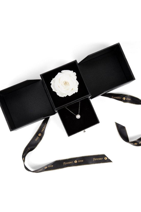 - Sympathy Rose & Necklace Gift Set