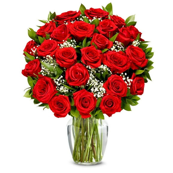 From You Flowers - Two Dozen Long Stemmed Red Roses for Birthday, Anniversary, Get Well, Congratulations, Thank You, All Occasions