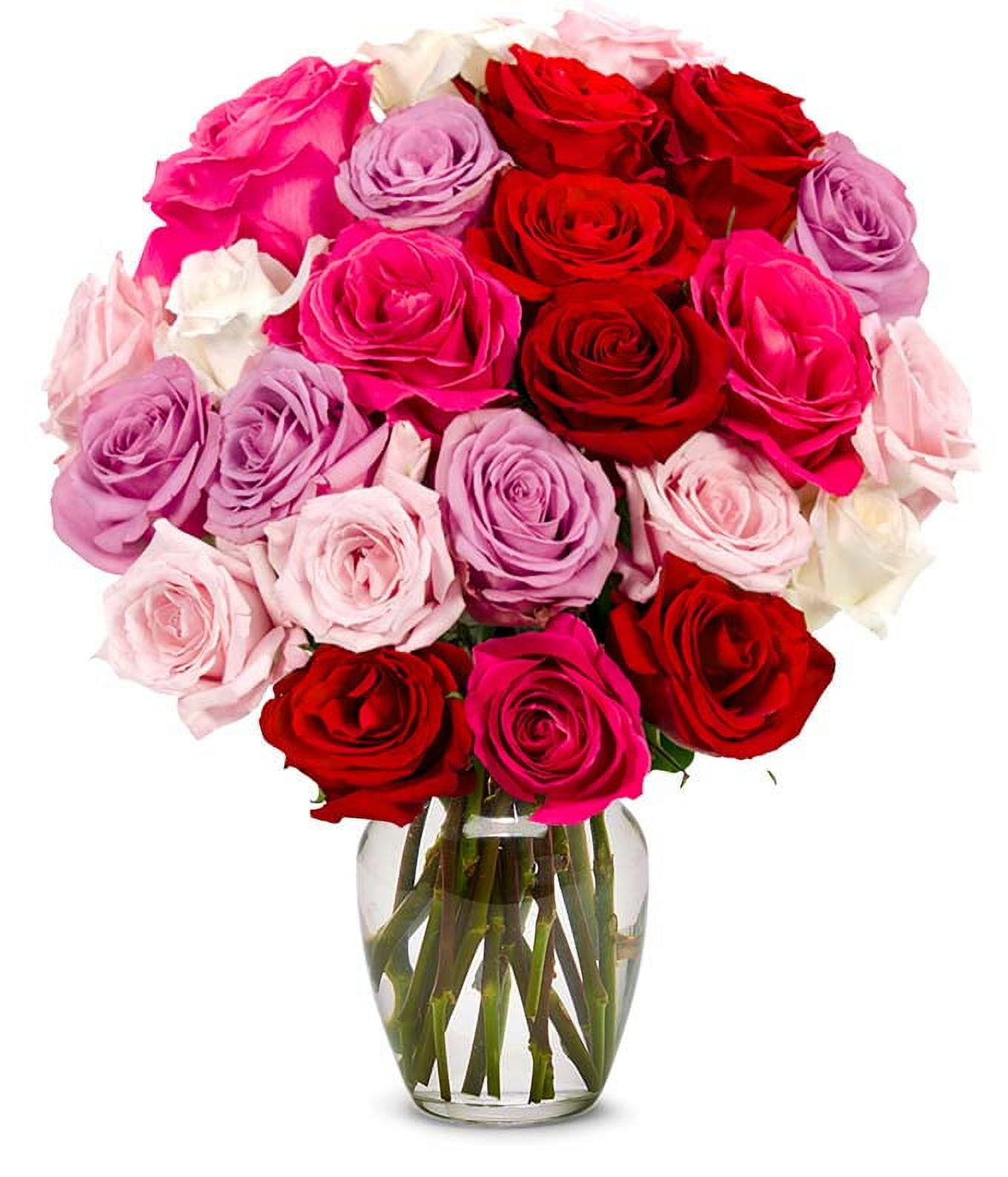 From You Flowers - Two Dozen Romantic Roses (Fresh Flowers) Birthday, Anniversary, Sympathy, All Occasion