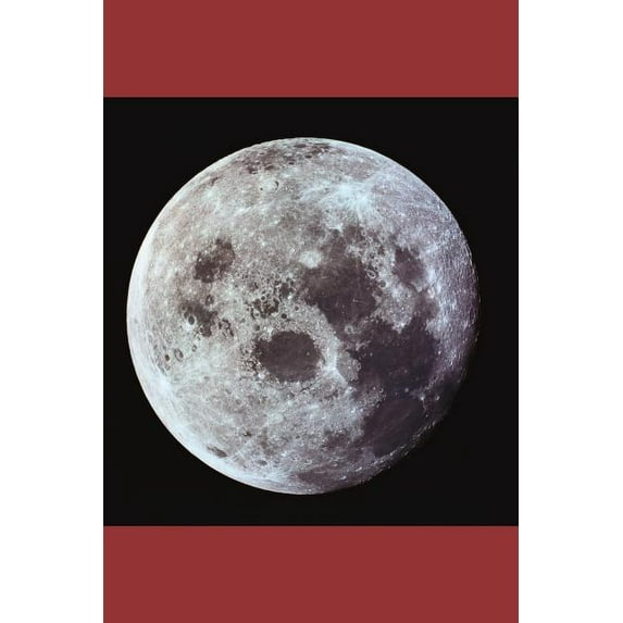 From the Cult to the Stake (Paperback)