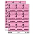 thumbnail image 1 of From the Library of Teacher Student School Sticker Set - Light Pink - Matte Finish - 1.75" Medium, 1 of 7