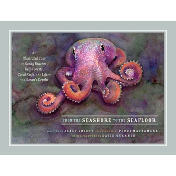 Pre-Owned From the Seashore to the Seafloor: An Illustrated Tour of Sandy Beaches, Kelp Forests, Coral Reefs, and Life in the Ocean's Depths (Hardcover) 0226817660 9780226817668