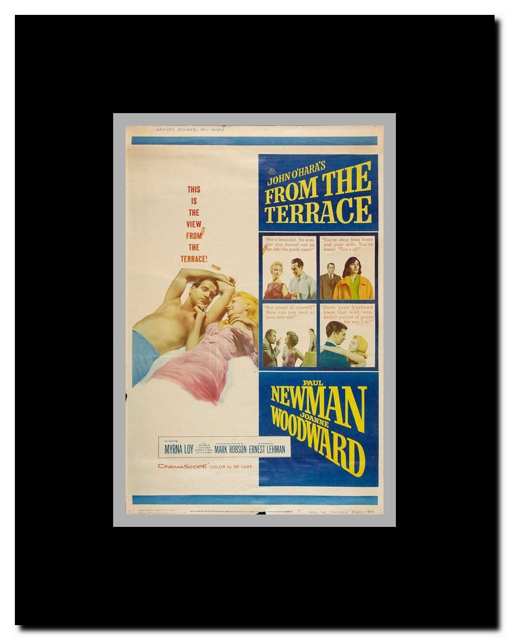 From the Terrace Framed Movie Poster
