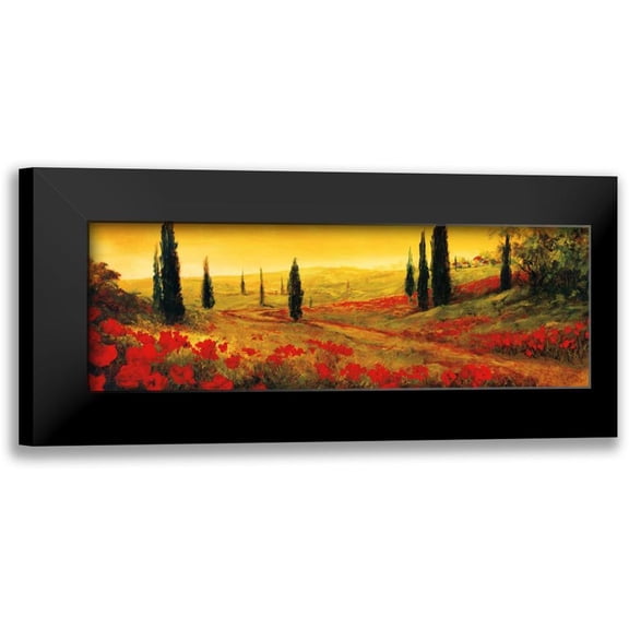 Fronckowiak, Art 14x7 Black Modern Framed Museum Art Print Titled - Toscano Panel I