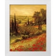thumbnail image 1 of Fronckowiak, Art 20x24 White Modern Wood Framed Museum Art Print Titled - Toscano Valley II, 1 of 4
