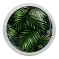 thumbnail image 1 of Frond Fluorescent Drawer Pulls with Screws - Round 4-Pack - Glow-in-the-Dark Knobs - Suitable for Cabinets, Wardrobes, Dressers - Furniture Decor - Door Handles, Drawer Hardware, 1 of 6