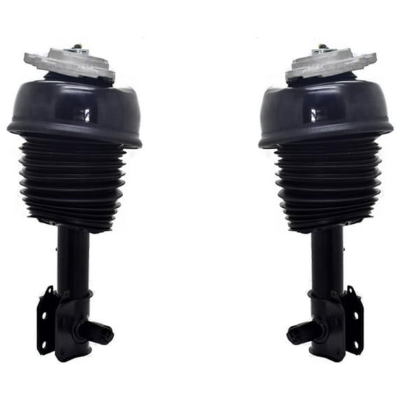 Front Air Strut Assembly For Mercedes Benz E350 4Matic 10-16 W/ Airmatic & ADS