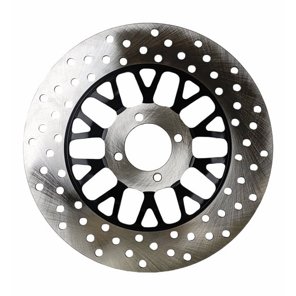 Front Brake Rotor Compatible with RPS Hawk 250 Cougar Cycle Raven BSR 250cc Xmoto X88 Carb Gator 250RTS DF250RTS Replaces 22000-LA73-0903