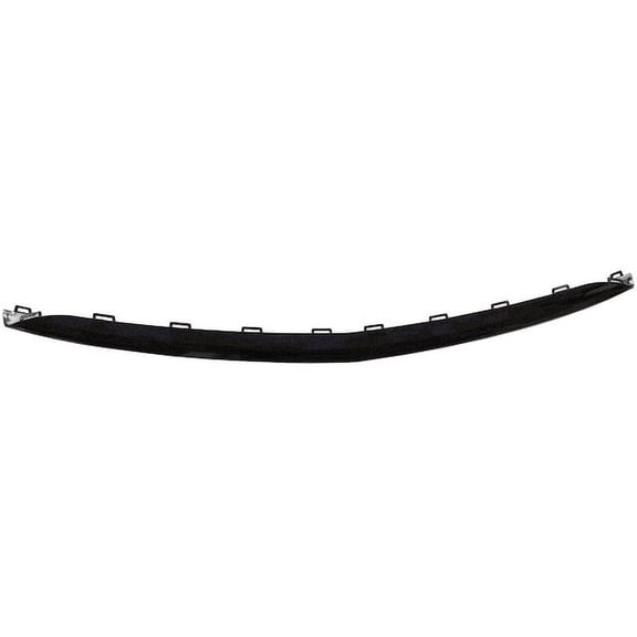 Front Bumper Cover Molding - Compatible with 2017 - 2018 Mercedes-Benz E43 AMG