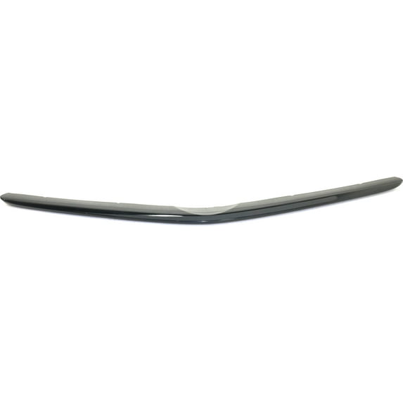 Front Bumper Trim Compatible with TOYOTA PRIUS 2004-2005 Plastic Black