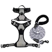 Front Clip Harness Dog No Pull, Heavy Duty Dog Leash, Shock Absorbing Bungee, Large Dog HarnessandLeash Set, Reflective Mesh, Gray, 6Ft In, Outdoor Walking, 1 Set