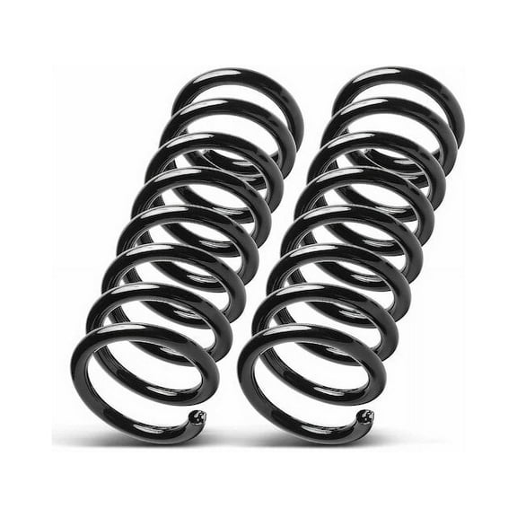 Front Coil Spring Set 2 - Compatible with 1980 - 1983 Lincoln Mark VI 5.0L V8 1981 1982
