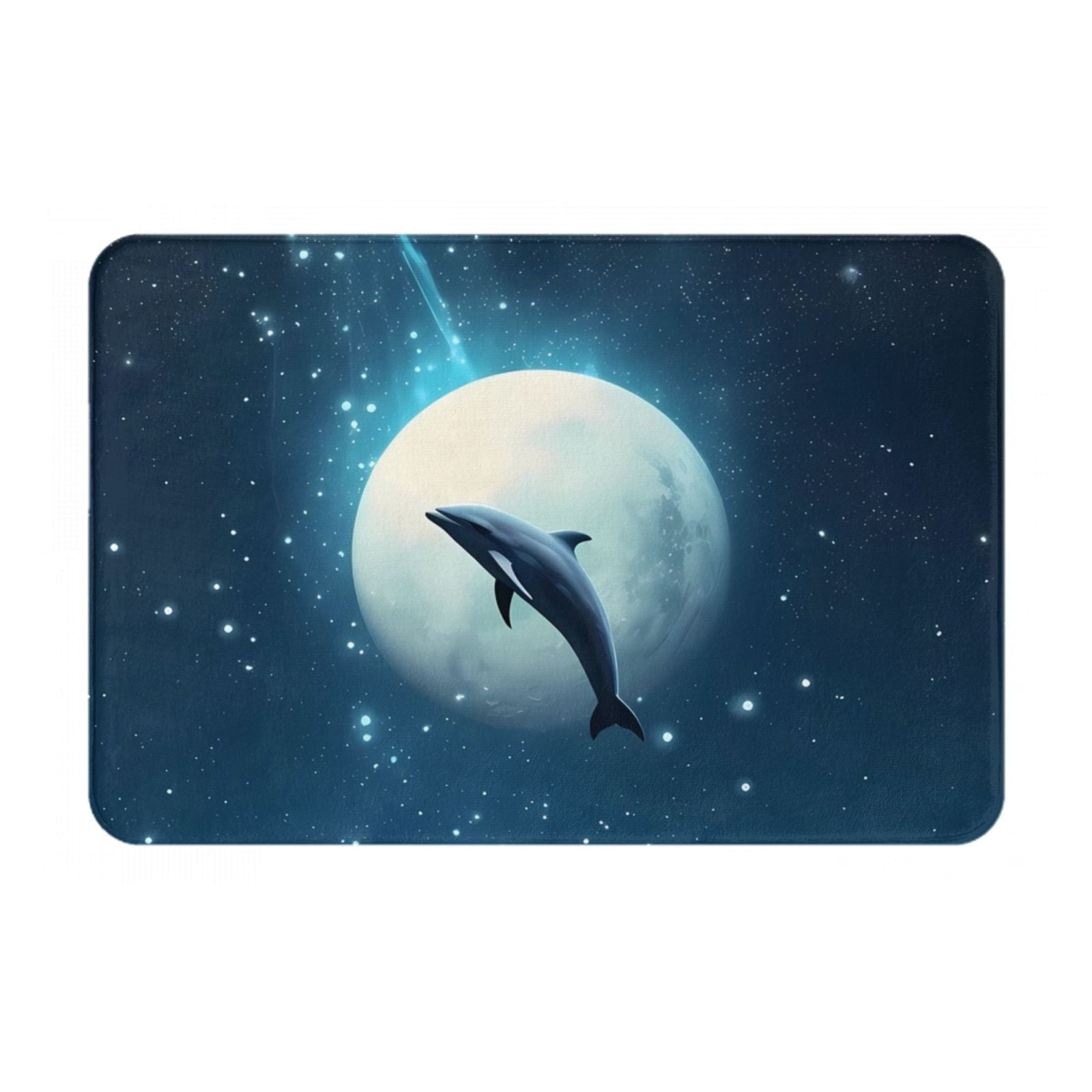 Front Door Mat Indoor Entrance Night Sky Moon Dolphin 16x24 NonSlip