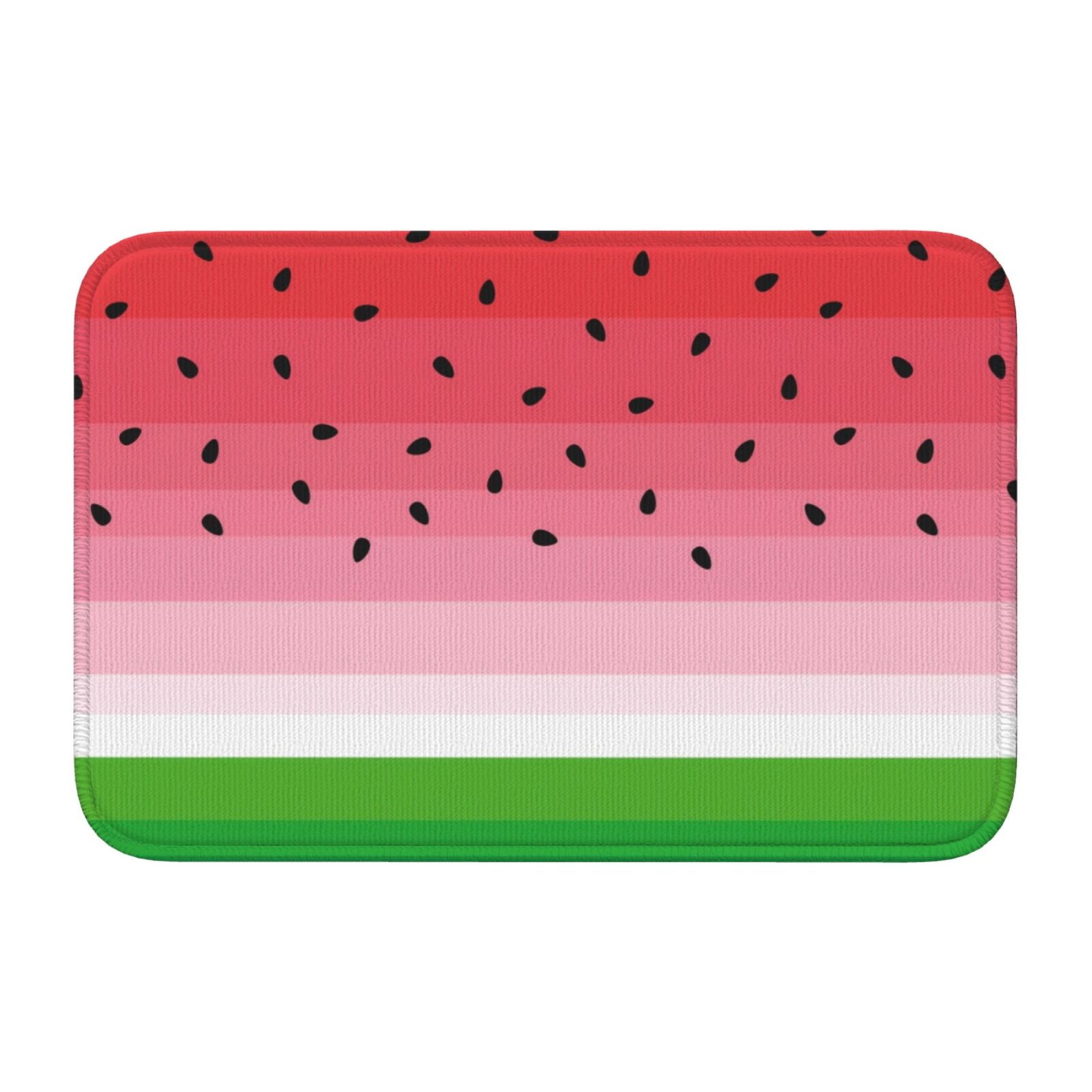 Front Door Mat Indoor/Outdoor Entrance - Watermelon 15.7x23.6 Non-Slip ...
