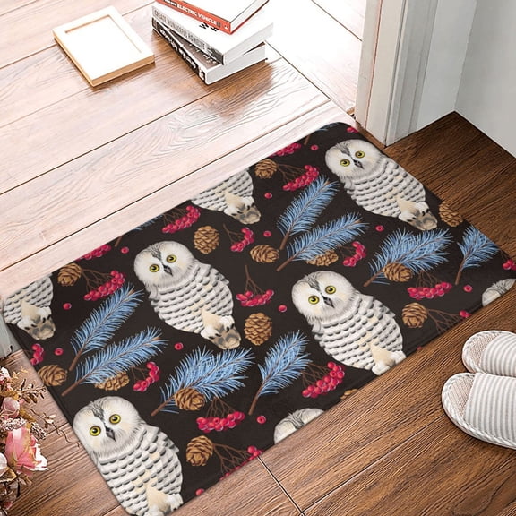 Front Door Mat Indoor Outdoor Outside Entrance - 16*24in Washable Pinecone Owl White Thin Bathroom Rugs Fit Under Door, Bath Rugs for Bathroom, Kitchen Rugs Mats for Floor