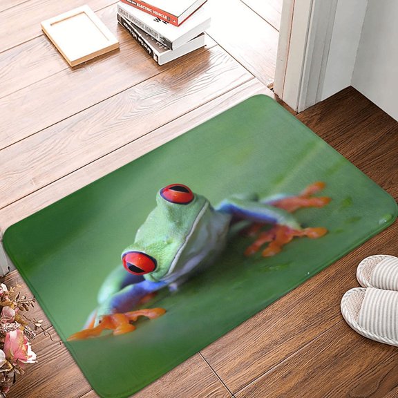 Front Door Mat Indoor Outdoor Outside Entrance - 16*24in Washable Red-Eyed Tree Frog-1 Thin Bathroom Rugs Fit Under Door, Bath Rugs for Bathroom, Kitchen Rugs Mats for Floor