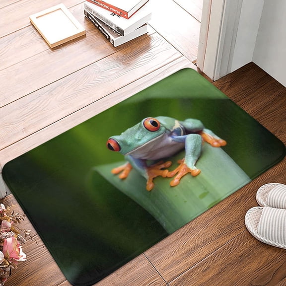 Front Door Mat Indoor Outdoor Outside Entrance - 16*24in Washable Red-Eyed Tree Frog Thin Bathroom Rugs Fit Under Door, Bath Rugs for Bathroom, Kitchen Rugs Mats for Floor