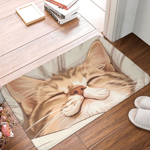 Front Door Mat Indoor Outdoor Outside Entrance - 16*24in Washable Sleeping Cat In Blanket Thin Bathroom Rugs Fit Under Door, Bath Rugs for Bathroom, Kitchen Rugs Mats for Floor