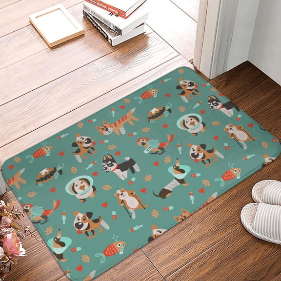 Front Door Mat Indoor Outdoor Outside Entrance - 16*24in Washable Veterinary Clinics Thin Bathroom Rugs Fit Under Door, Bath Rugs for Bathroom, Kitchen Rugs Mats for Floor
