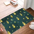 Front Door Mat Indoor Outdoor Outside Entrance 16*24in Washable