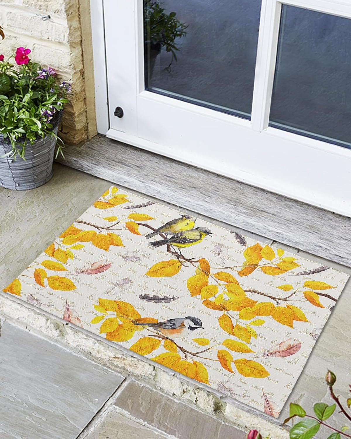Front Door Mat, Non Slip Absorbent Door Entry Mats, Doormats Indoor