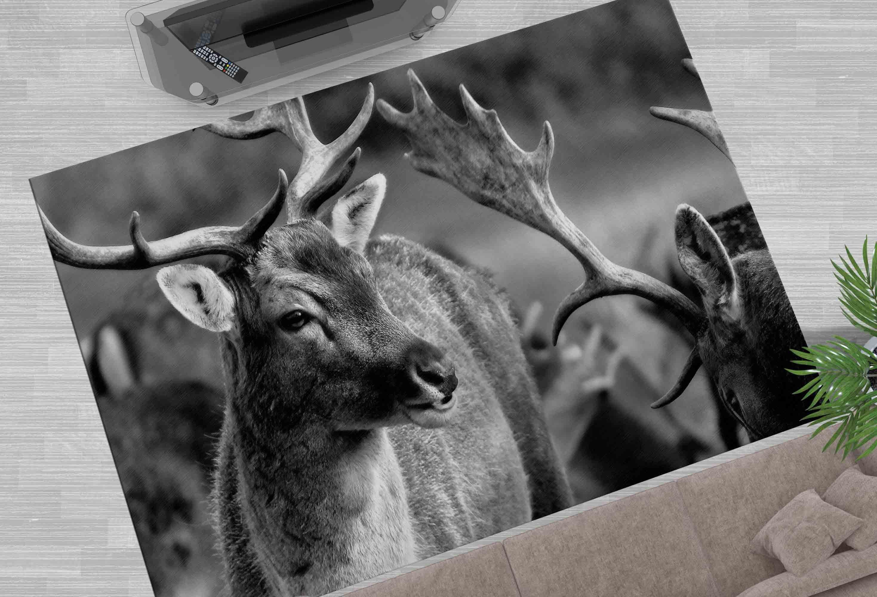 Front Door Rug, Animal Rug, Deer Photo Rug, Deer Wildlife Rugs, Soft ...