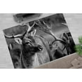 thumbnail image 1 of Front Door Rug, Animal Rug, Deer Photo Rug, Deer Wildlife Rugs, Soft Rug, Office Decor Rugs, Loft Rug, Salon Rugs, Indoor Rugs, 3.3'x5' - 100x150 cm, 1 of 8