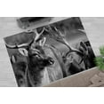 thumbnail image 1 of Front Door Rug, Animal Rug, Deer Photo Rug, Deer Wildlife Rugs, Soft Rug, Office Decor Rugs, Loft Rug, Salon Rugs, Indoor Rugs, 5.9'x9.2' - 180x280 cm, 1 of 8