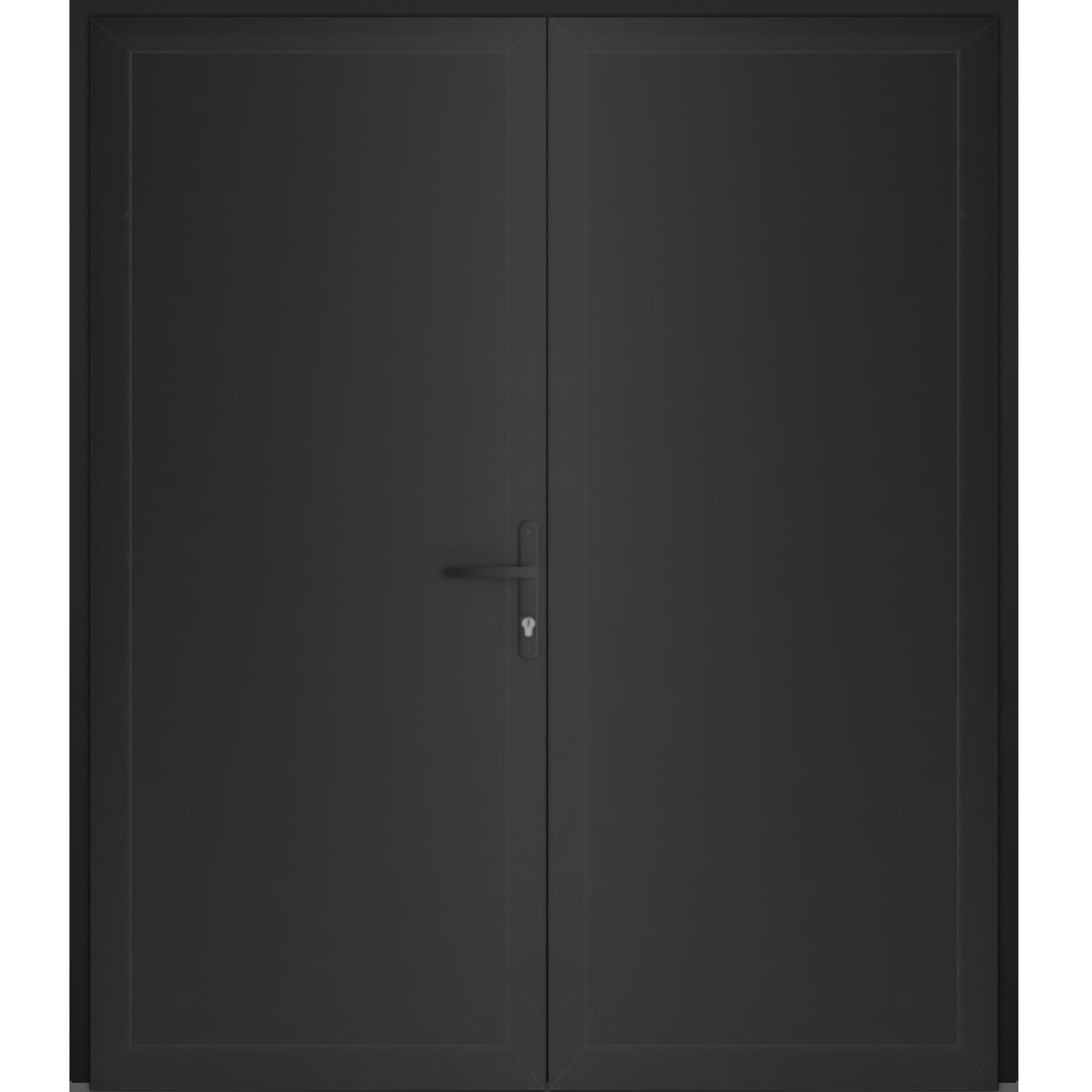 Front Exterior Prehung Metal-Plastic Double Doors / MANUX 8111 Matte Black / Office Commercial and Residential Doors Entrance Patio Garage 72 x 80