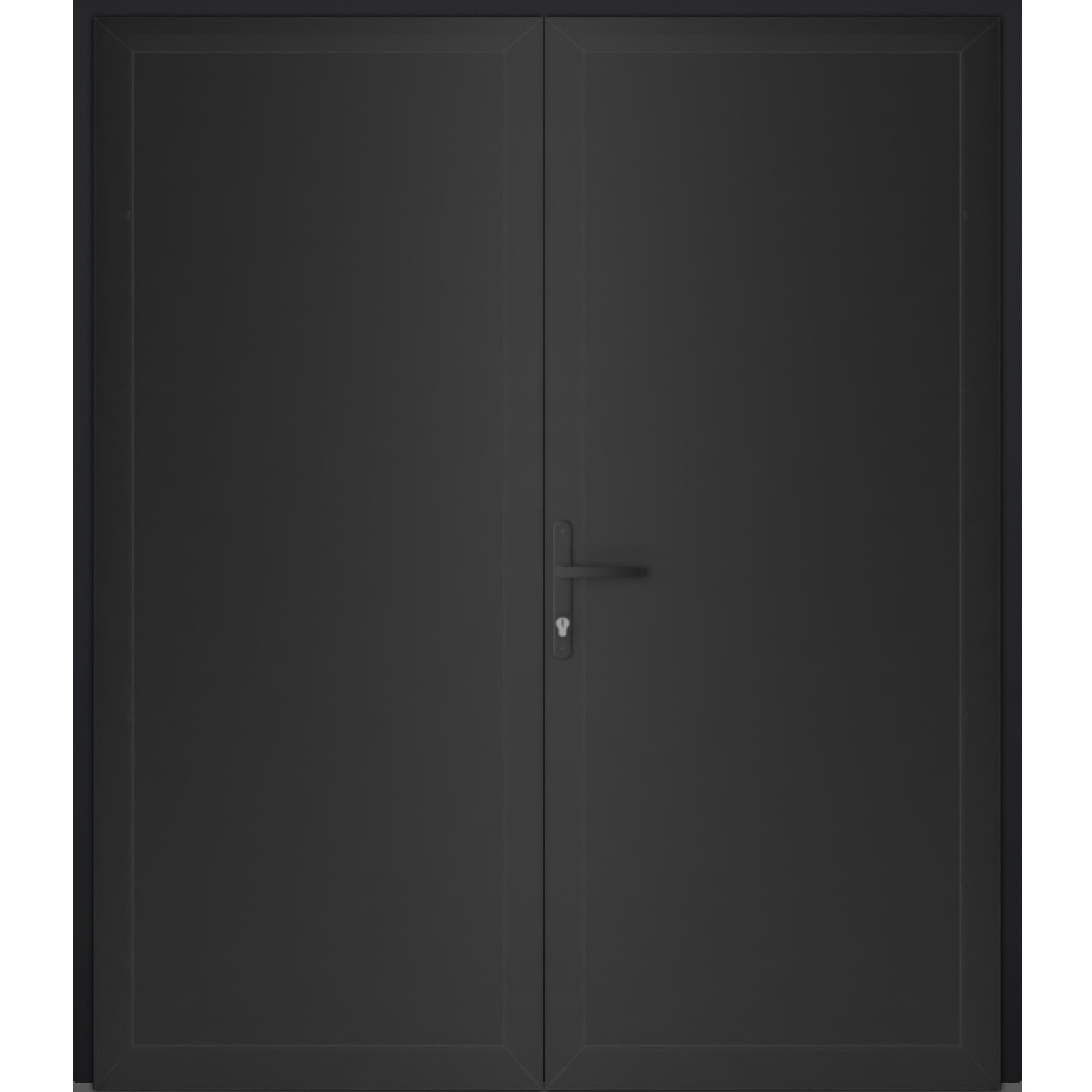 Front Exterior Prehung Metal-Plastic Double Doors / MANUX 8111 Matte Black / Office Commercial and Residential Doors Entrance Patio Garage 72 x 80