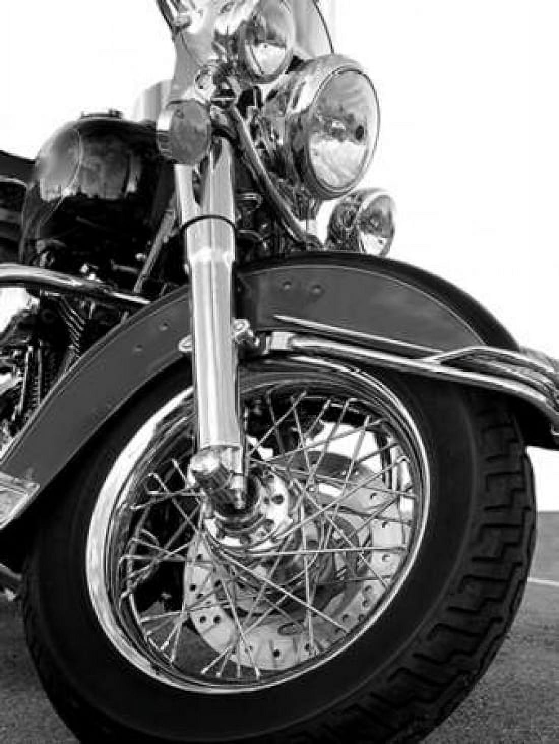 Front Fork Canvas Art - Matt McCarthy (18 x 24)