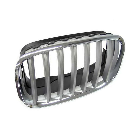 Front Left Grille - Compatible with 2007 - 2013 BMW X5 2008 2009 2010 2011 2012