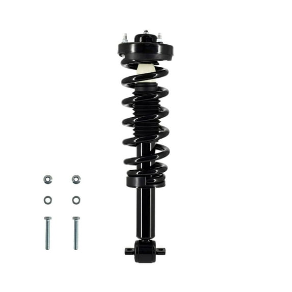 Front Left Quick Complete Strut-Coil Spring For 2015-2020 Ford F-150 4WD