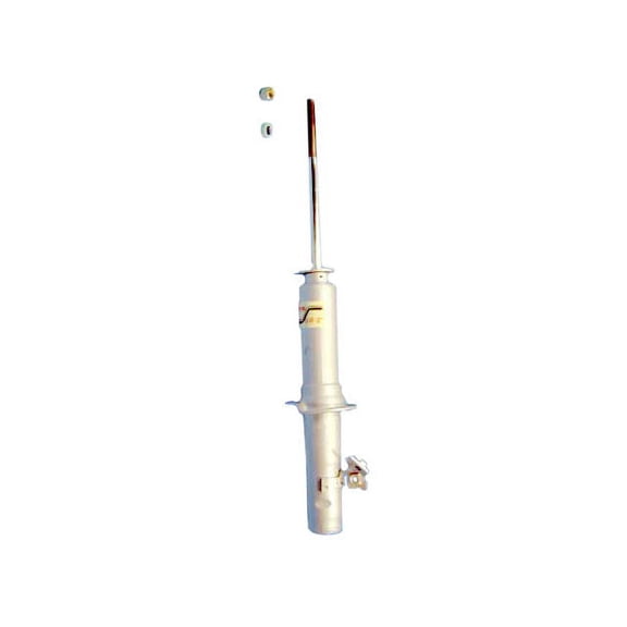 Front Left Strut Assembly - Compatible with 1994 - 2001 Acura Integra 1995 1996 1997 1998 1999 2000