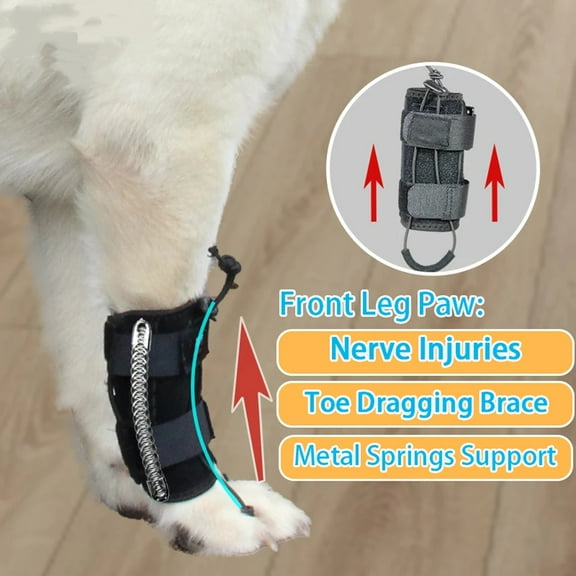 Front Leg Paw with Sciatic Nerve Corrector for Dog and Cat Knuckling Toe Draagging Brace Dorsiflexion Brace Myelopathy and Spi