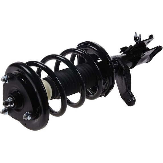 Front Right Strut and Coil Spring Assembly - Compatible with 2003 - 2006 Honda Element 2004 2005