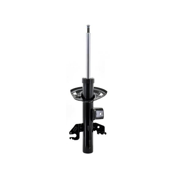 Chrysler 300 Suspension Strut Assembly