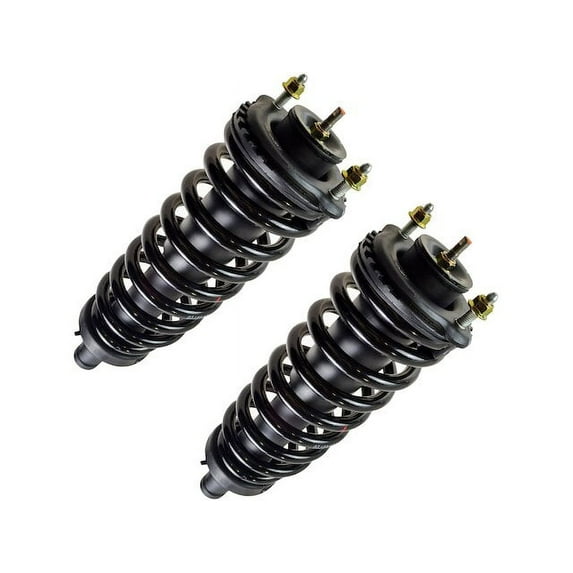 Front Shock Absorber and Coil Spring Assembly Set 2 Piece - Compatible with 2002 - 2009 Chevy Trailblazer 2003 2004 2005 2006 2007 2008