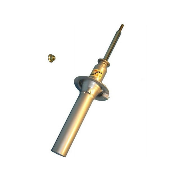 Front Strut Assembly - Compatible with 1985 - 1990 Ford Escort 1986 1987 1988 1989