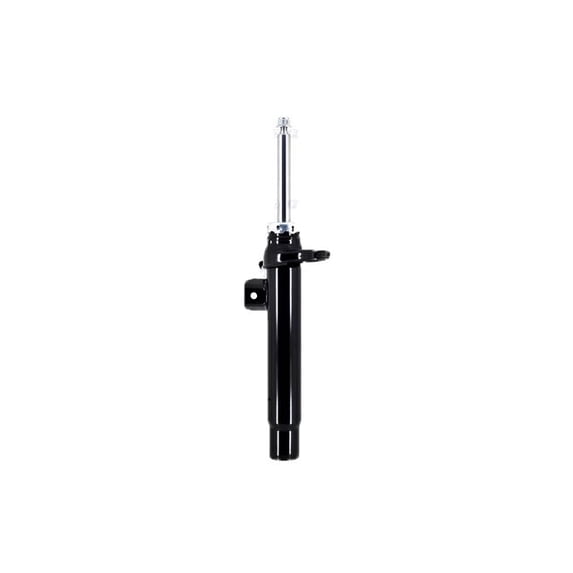 Front Strut Assembly - Compatible with 2013 - 2018 BMW 320i 2014 2015 ...