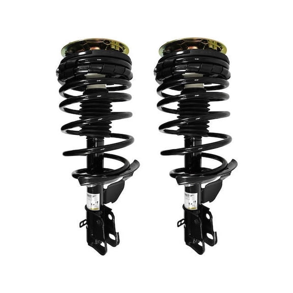 Front Strut Assembly Kit - Compatible with 1984 - 1996 Buick Century FWD 1985 1986 1987 1988 1989 1990 1991 1992 1993 1994 1995