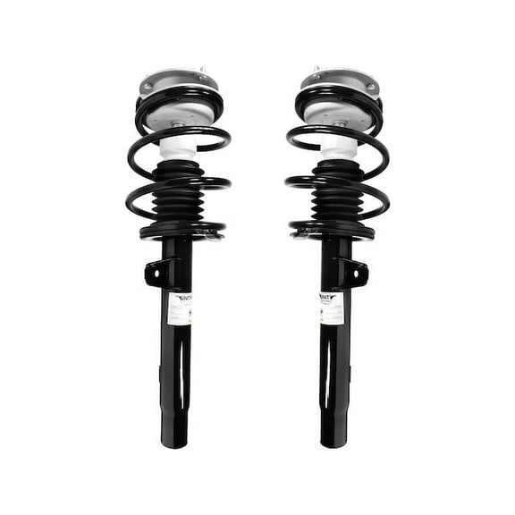 Front Strut Assembly Kit - Compatible with 2001 - 2005 BMW 330i 2002 2003 2004