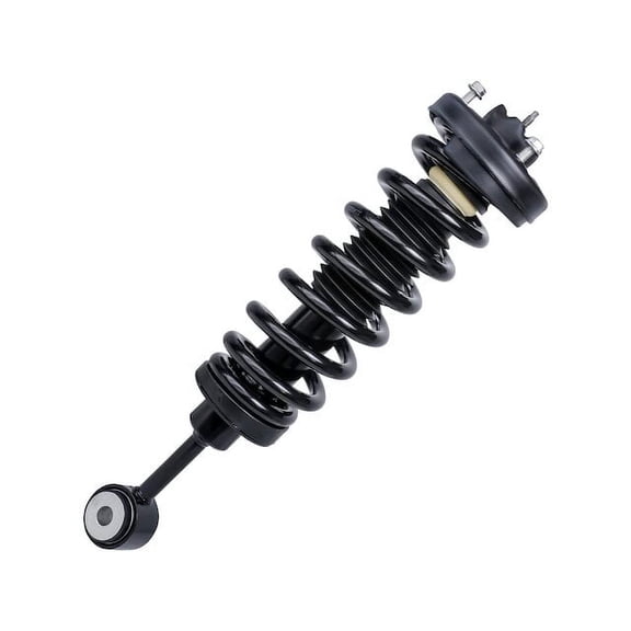 Front Strut and Coil Spring Assembly - Compatible with 2003 - 2006 Ford Expedition 2004 2005