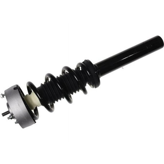 Front Strut and Coil Spring Assembly - Compatible with 2014 - 2018 BMW X5 xDrive35i AWD 2015 2016 2017