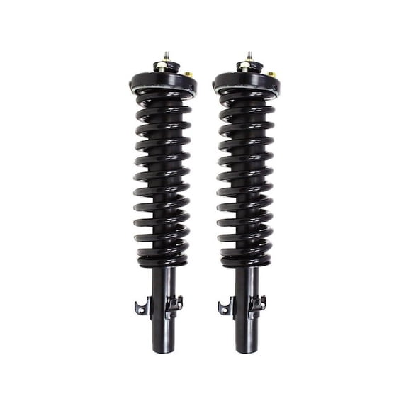Front Strut and Coil Spring Assembly Kit Set of 2 - Compatible with 1994 - 1997 Honda Accord 1995 1996