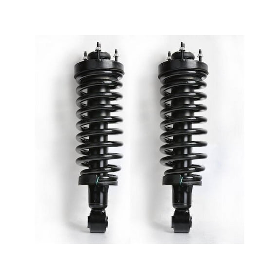 Front Strut and Coil Spring Assembly Set - Compatible with 2003 - 2011 Mercury Grand Marquis 2004 2005 2006 2007 2008 2009 2010