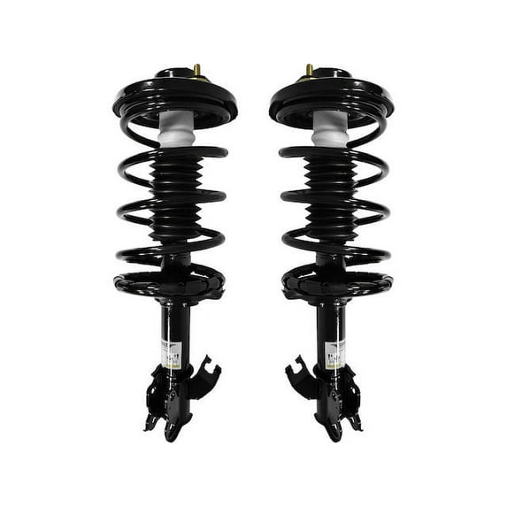 Front Strut and Coil Spring Assembly - Set of 2 - Compatible with 1995 - 1999 Nissan Maxima 1996 1997 1998